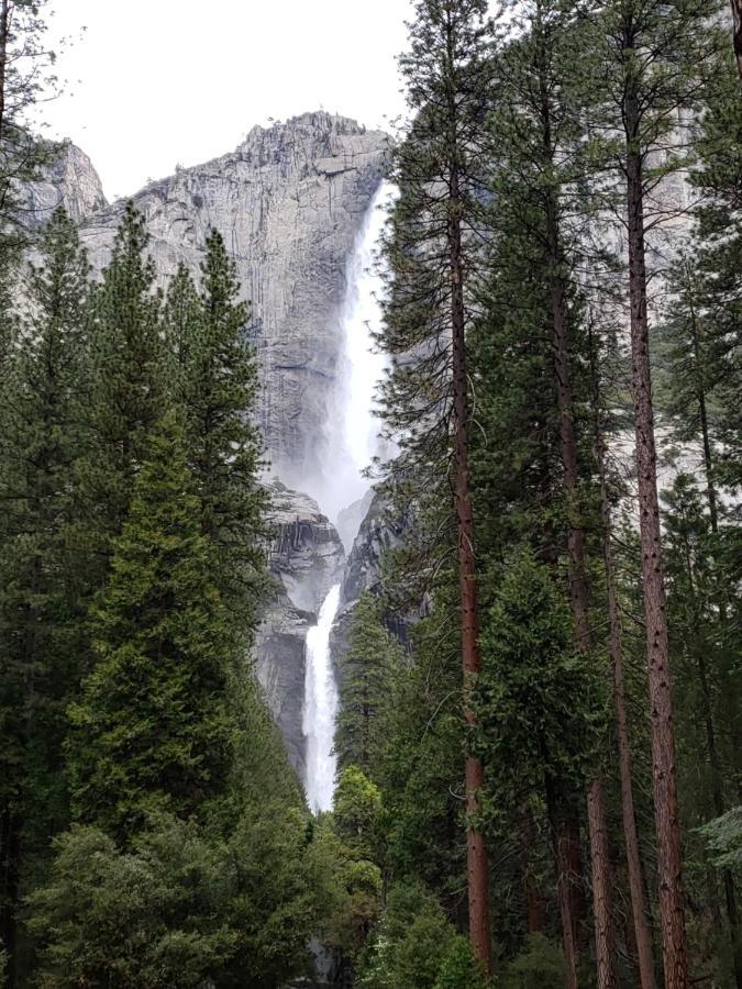 Yosemite Foothill Retreat - Private Guest Suite #3 Coarsegold Exterior foto